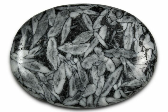 Polished Pinolite Palm Stone - Austria #343892